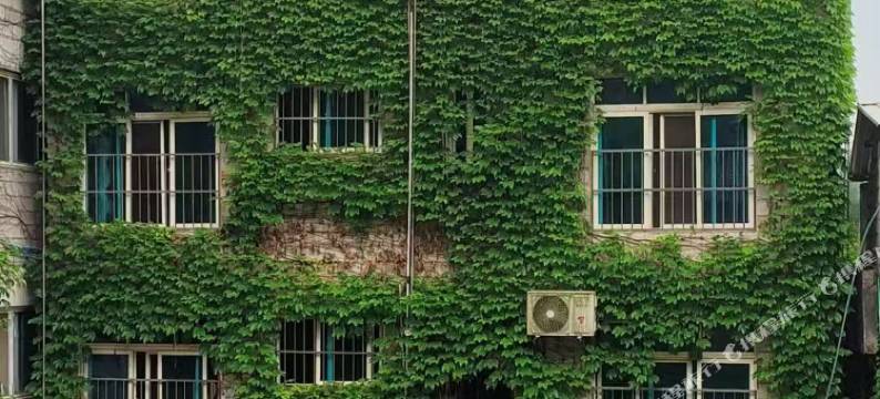 兰花园宾馆图片