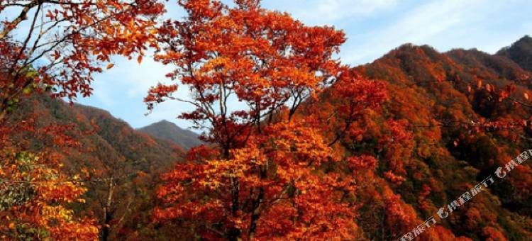 锦江之星品尚(巴中广福街店)图片