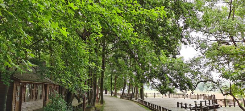 大龙门客栈(龙虎山风景区店)图片