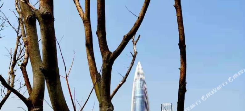 深圳鹏客精品公寓图片