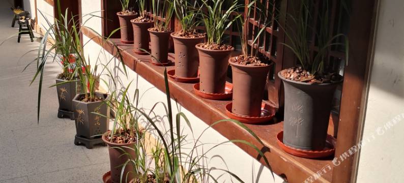 蔚县無上樂院民宿图片