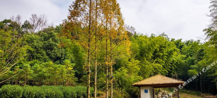 大乐之野·勿舍(宁波店)图片