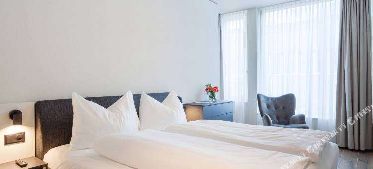 百夫长瑞士品质酒店(Centurion Swiss Quality Towerhotel Windisch)图片