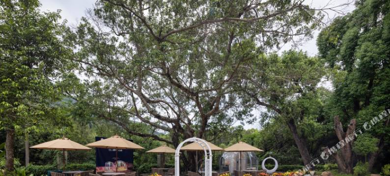 深圳荔景湾酒店(桔钓沙店)图片