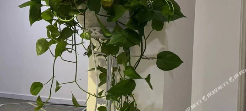 佛山八方欢度酒店(五沙工业区店)图片