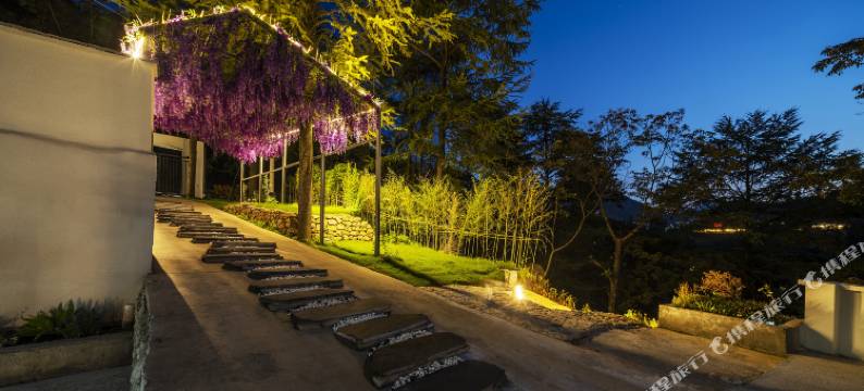 安吉花蔓·梦里云境民宿图片