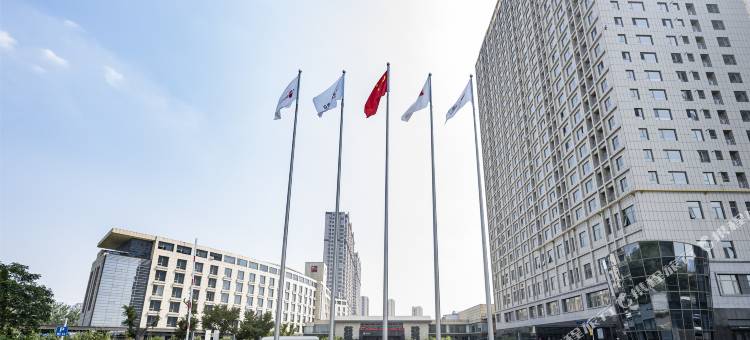滨州大饭店图片