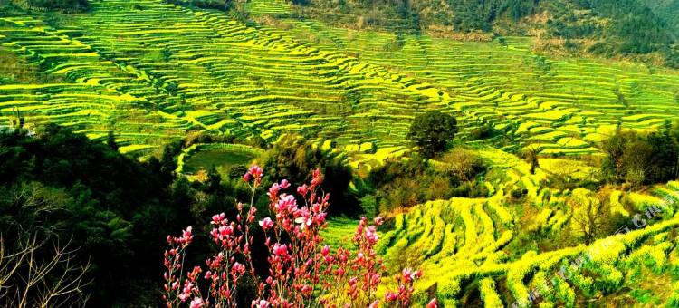 双溪揽月精品民宿(篁岭风景区店)图片