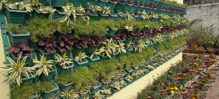 SATKAR酒店(Hotel Satkar)图片