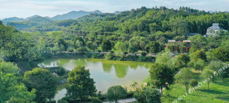 腾云·现代旅游根据地民宿(渣濑湾站店)图片