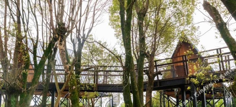 仙凤三宝度假酒店图片