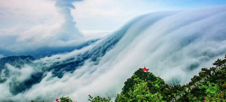 庐山风景区伴夏微民宿(庐山牯岭街心公园店)图片