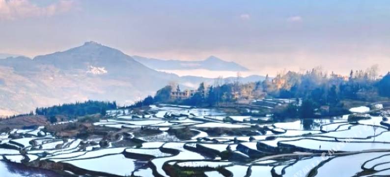 稻田理想｜蓝色梯田全景·观景民宿图片