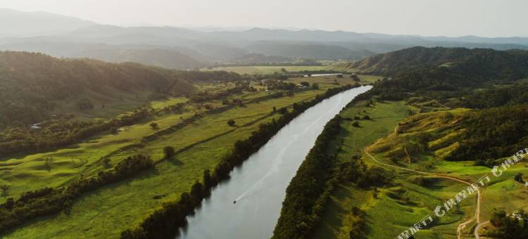 戴因树雨林生态旅馆(Daintree Eco Lodge)图片
