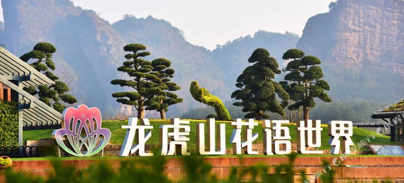 龙虎山花语美墅民宿图片