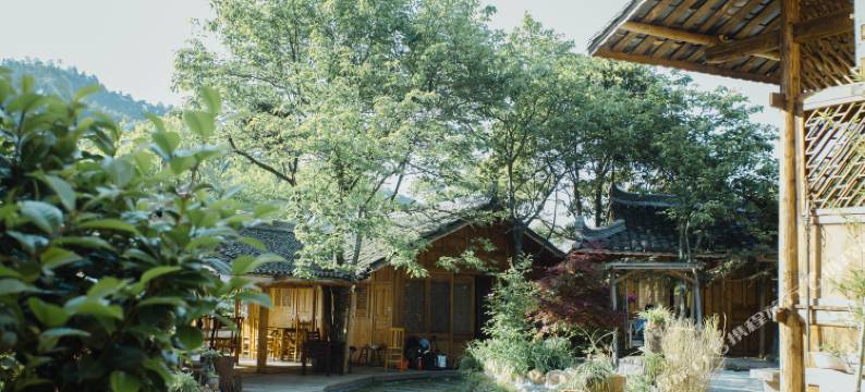 绥宁铁杉林苑民宿图片