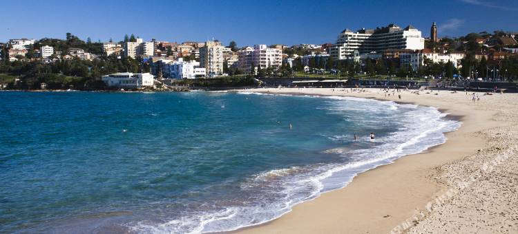 悉尼兰德威克亚弗卡旅馆(Avoca Randwick by Sydney Lodges)图片