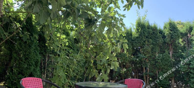 胖虎家民宿(Tiger Sweet House)图片