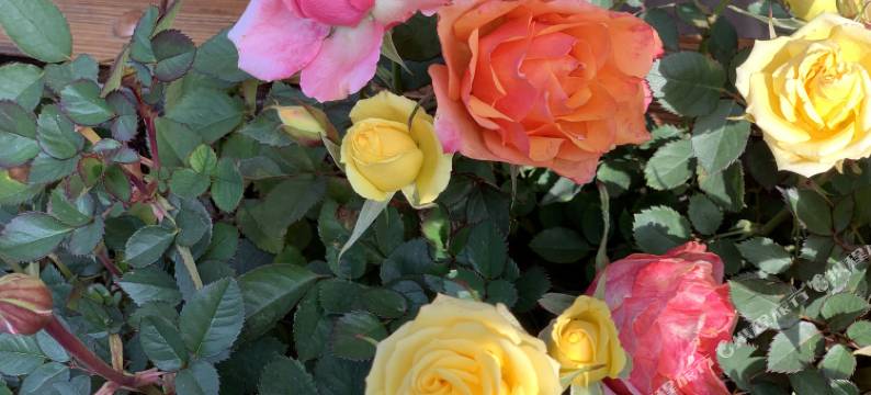 泽客山居(昆明融创滇池后海店)图片