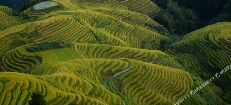 龙脊梯田平安村竹苑民宿图片