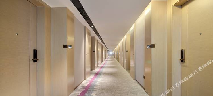 麗枫酒店(莎车前进路店)图片