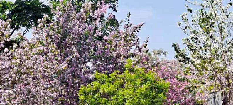 何源星光酒店(柳州柳江水利局区政府店)图片