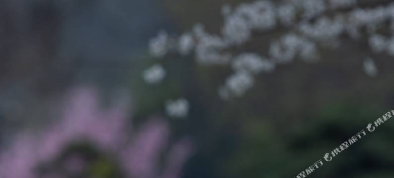 扬州迎宾馆(11号楼)图片