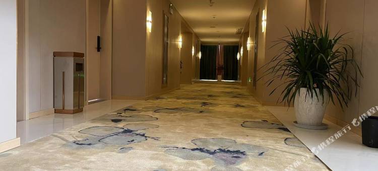 丁青县锦悦精品酒店图片