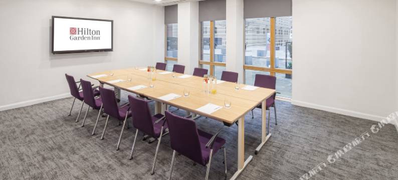 伯明翰布林德里希尔顿花园酒店(Hilton Garden Inn Birmingham Brindleyplace)图片