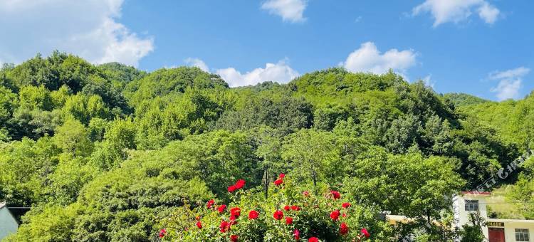 蓝田廊桥别院家庭酒店图片