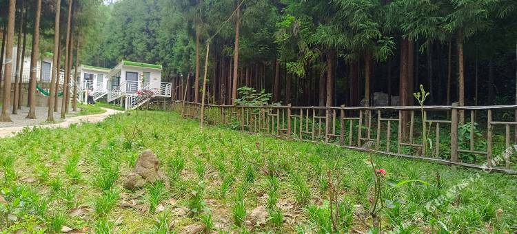 绵阳李老栓农庄(蝴蝶谷景区店)图片