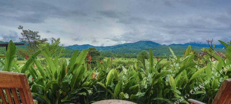 普瑞派别墅(Puripai Villa Wellness & Retreat)图片