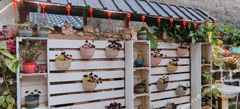 涠洲岛花屿民宿图片