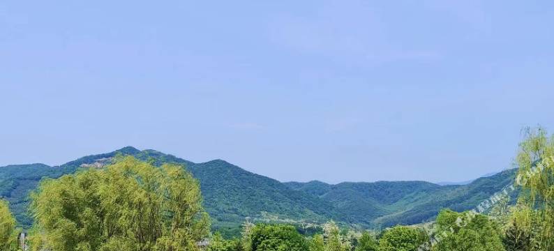 本溪天著松塔温泉民宿(大悦泉店)图片