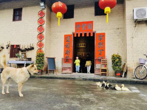 昭平绿叶家园民宿图片