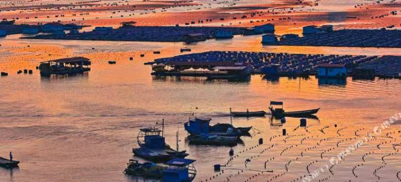 霞浦新新都宾馆图片