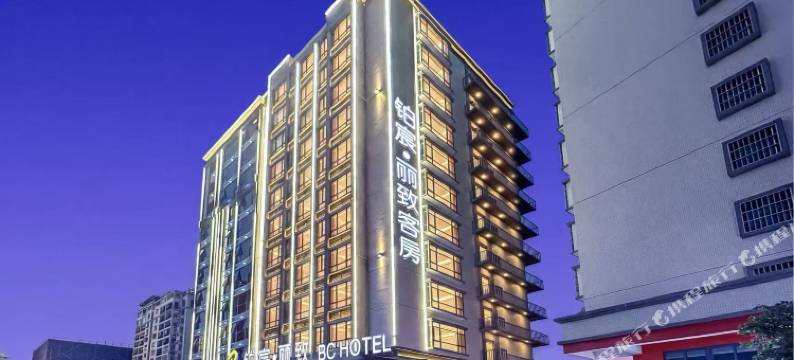 铂宸丽致酒店(揭阳潮汕机场店)图片