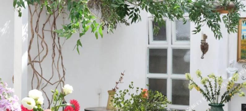 大理古城金玉缘中澳青年旅舍图片