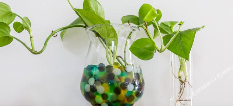 郑州呲呲猫民宿(沅江路分店)图片