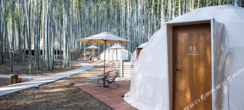 竹林动物园露营酒店(THE BAMBOO FOREST)图片