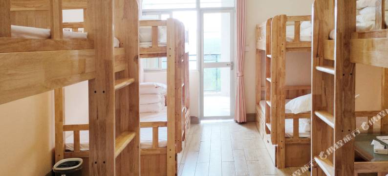 白头叶猴公寓图片