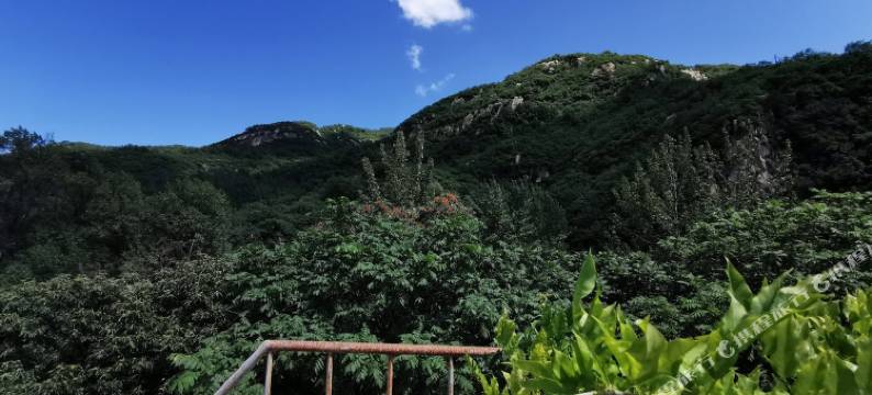 北京隐溪山舍民宿(神堂峪道店)图片