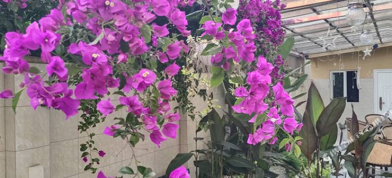 雅安惠鑫轻奢酒店图片