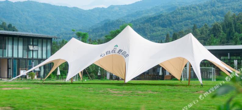 野宿·星空营地图片