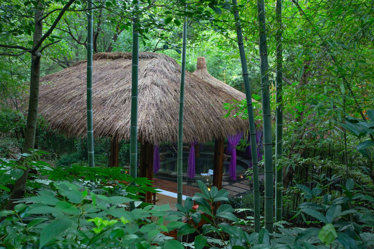 天目湖御水温泉·森酒店图片