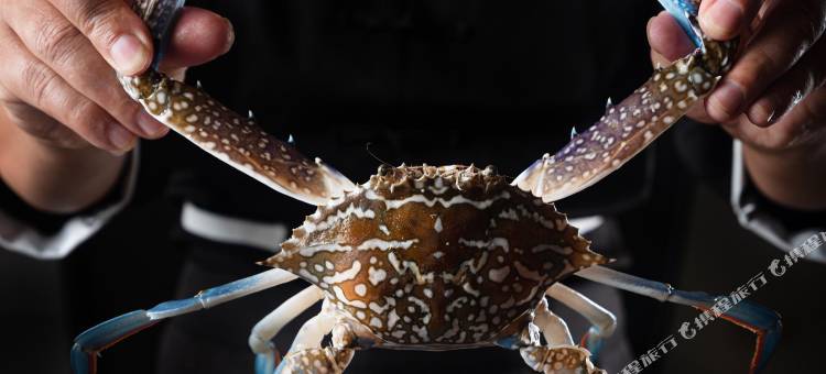 携程度假农庄(涠洲岛蓬莱田舍联营店)图片