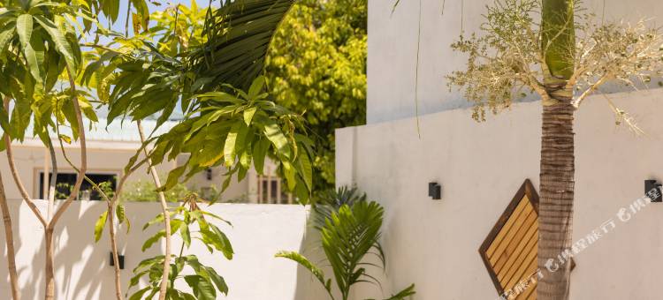 马尔代夫多尼旅馆(Dhoani Maldives Guesthouse)图片