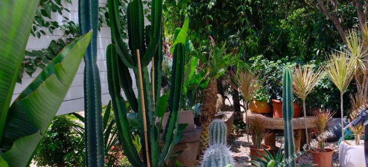 抚仙湖睦恬花园民宿图片