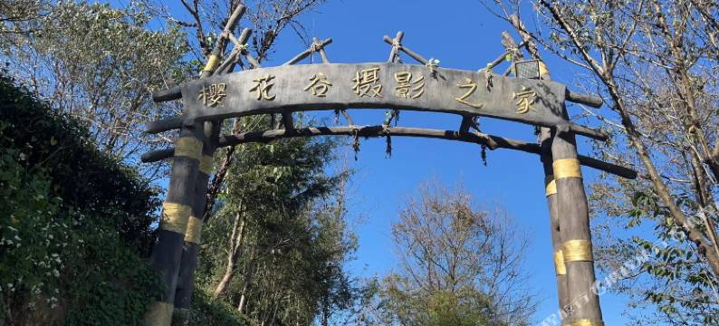 樱花谷摄影之家客栈图片