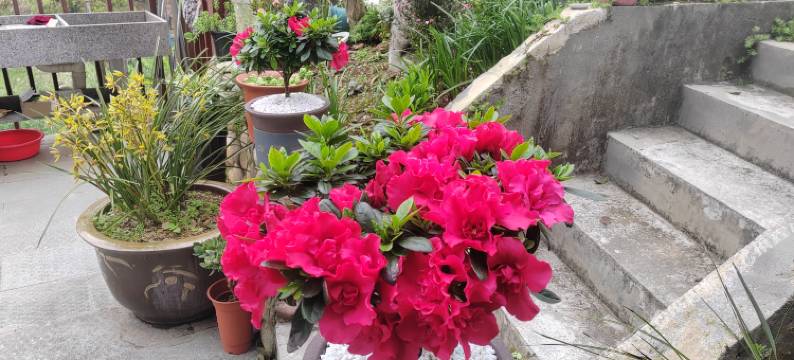 千岛湖老余家民宿图片